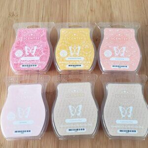 Scentsy Floral Wax Melt Bundle - 6 Bars - Some Used